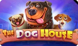 Ludios – The Dog House